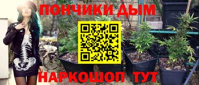 индика Ипатово