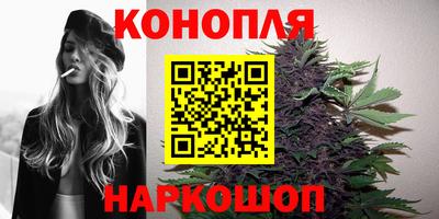 индика Ипатово